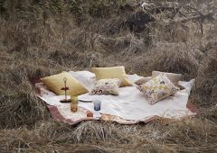 6Picknick_1 Kopie